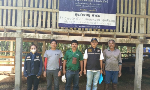 ตรวจประเมินเพื่อรับรองสถานภาพฟาร์มปลอดโรคบรูเซลล่าแพะเนื้อ