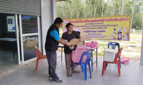 ให้บริการฉีดวัคซีนป้องกันโรคพิษสุนัขบ้า