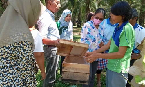 ฝึกอบรมโครงการพัฒนาเกษตรกรรมยั่งยืน กิจกรรมส่งเสริมเกษตรทฤษฎีใหม่