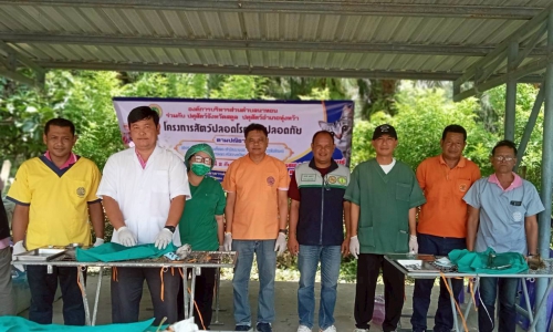 บริการผ่าตัดทำหมัน โครงการสัตว์ปลอดโรค คนปลอดภัยจากโรคพิษสุนัขบ้า