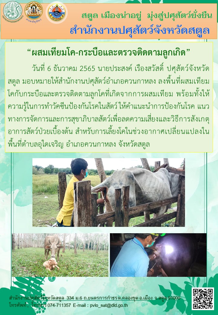 9103 06122565 1