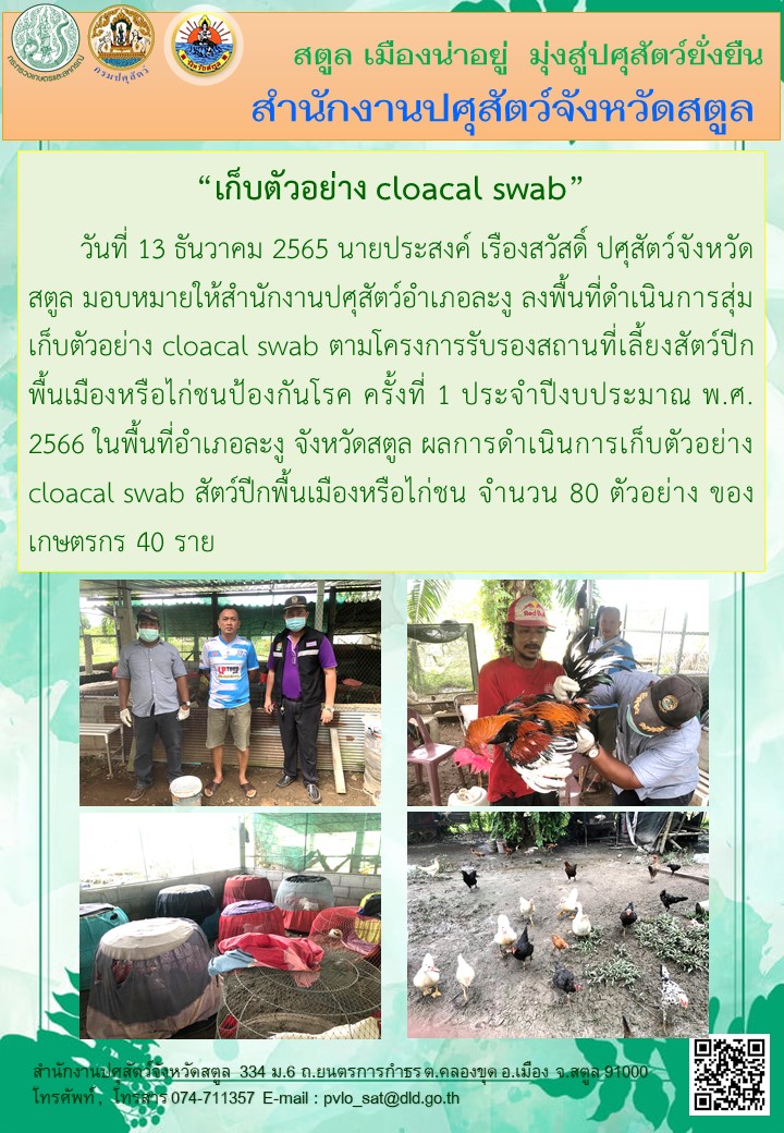 9105 13122565