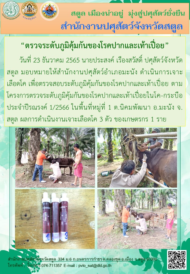 9107 23122565