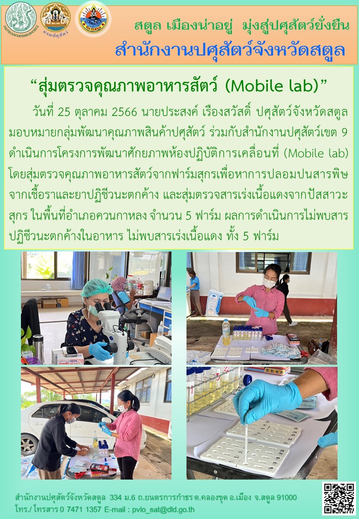 9107 06042566