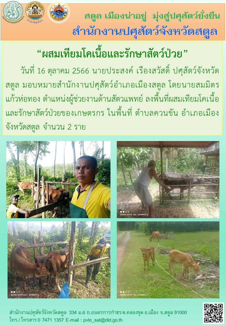 9107 06042566