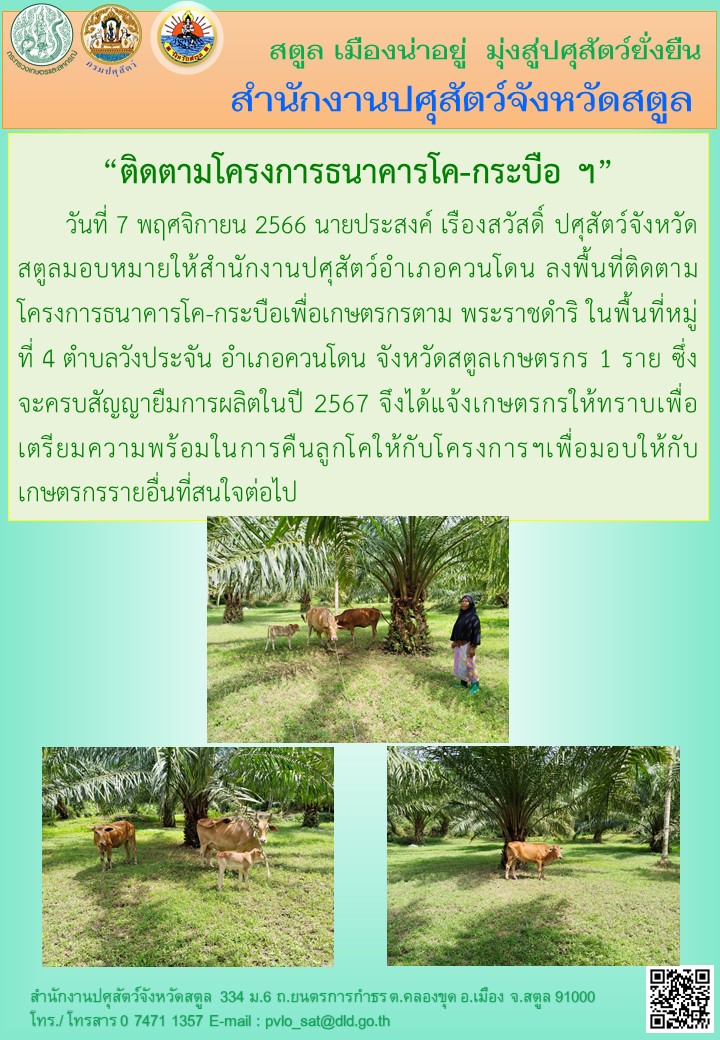 9107 06042566